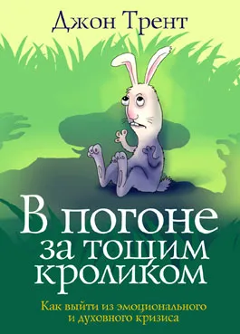 Обложка: В погоне за тощим кроликом