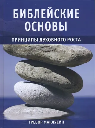 Обложка: Библейские основы. Книга 2